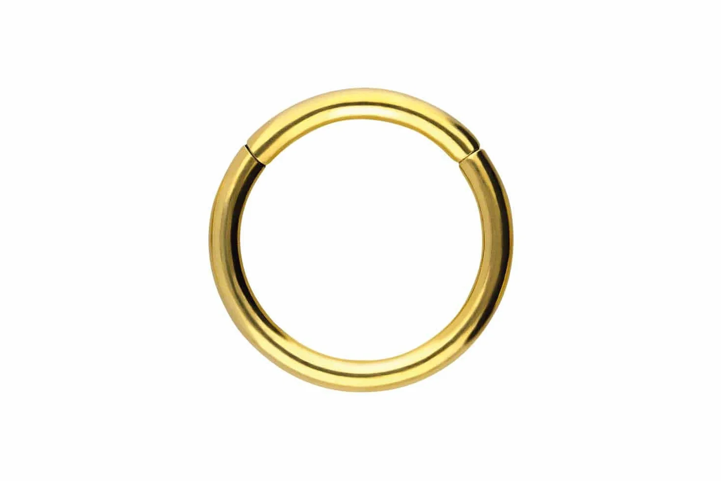 PIERCINGLINE Segmentring Clicker aus Chirurgenstahl - Piercing Ring in Gold, Silber, Rose, Schwarz oder Blau - für Nase, Septum, Ohr, Helix oder Tragus