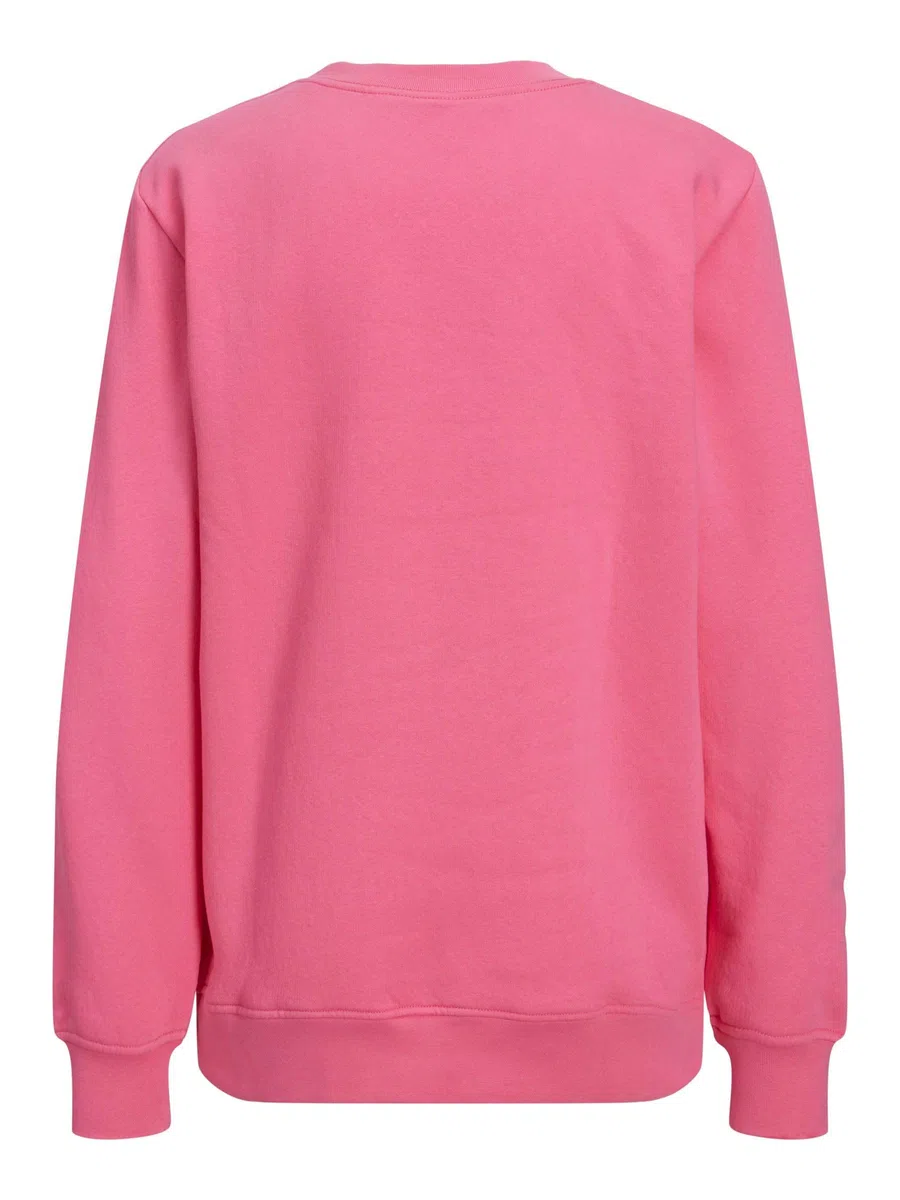 JJXX Women's Jxabbie Ls Rel Every Brush Crew Noos Sweatshirt