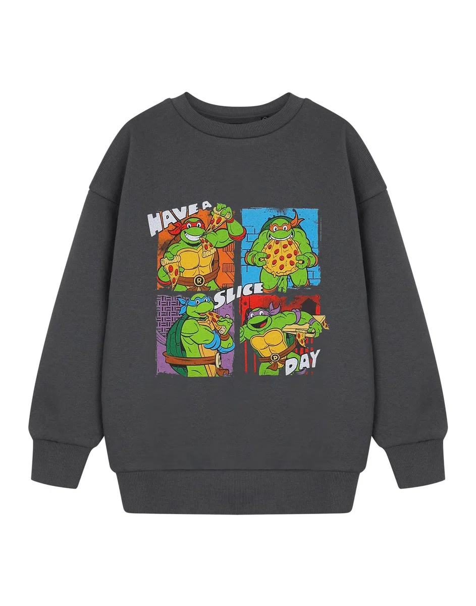 Teenage Mutant Ninja Turtles Graues Sweatshirt für Jungen | Pullover mit Grafik „Have A Slice Day“ | TMNT Kinderbekleidung | Leonardo, Michelangelo, Don und Raffael | Lustiges Cartoon Film Merchandise