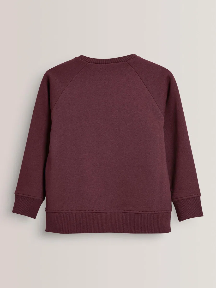 NEXT Jungen Standard Pullover mit Rundhalsausschnitt 98-182