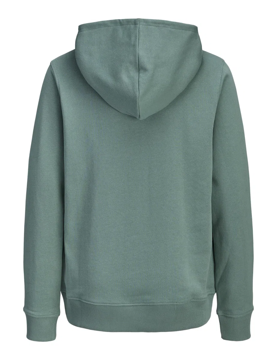 JACK & JONES Herren Jjcollege Logo Sweat Hood Jnr Jjcollege Logo Sweat Hood Jnr (1er Pack)