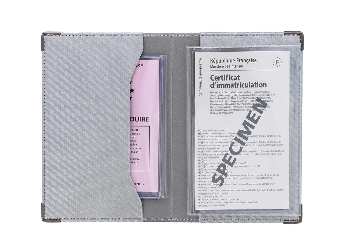 sans Color Pop Papierhalter für Fahrzeug, Carbon-Oberfläche, Farbe: Grau/Silberfarben, inkl. transparenter Etui für graue Karte