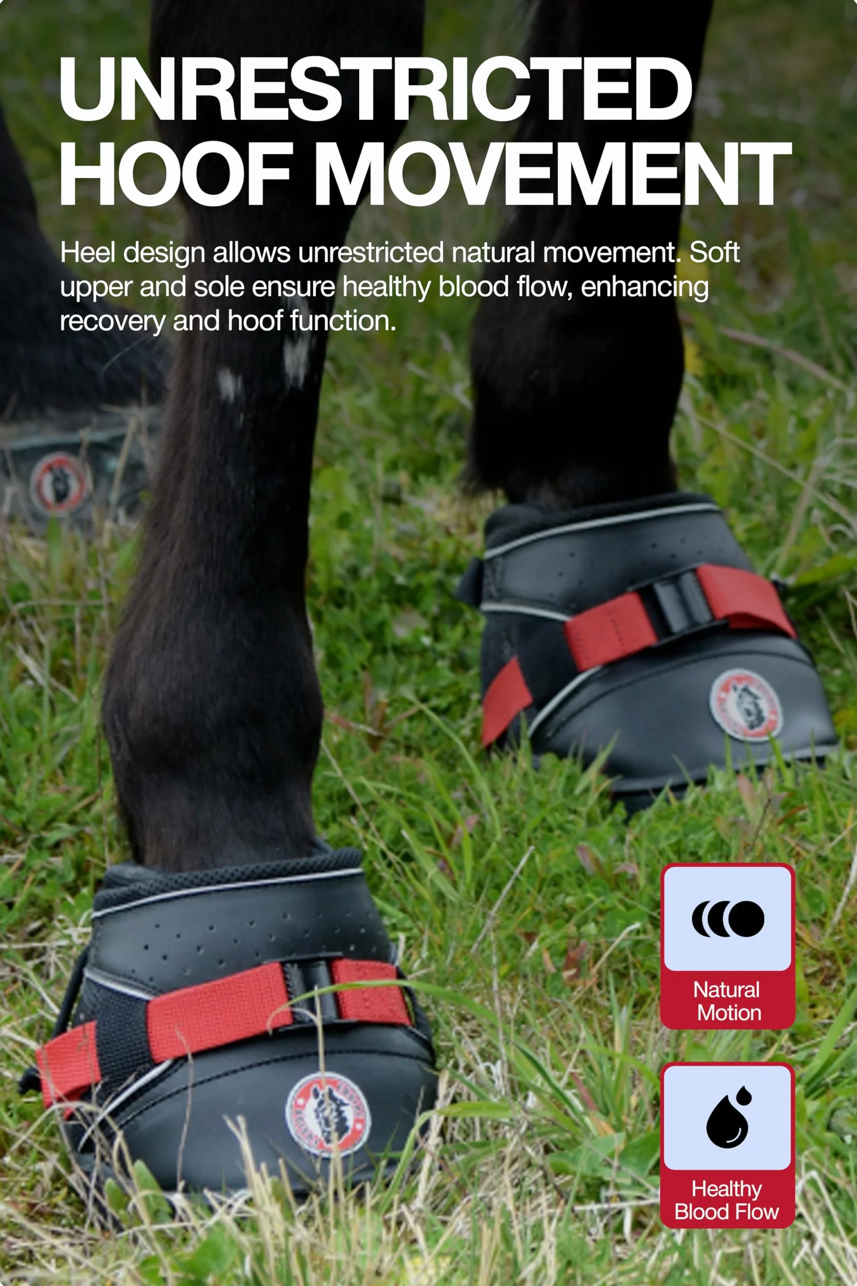 Equine F. Ultra Joggin Shoe 11, schwarz