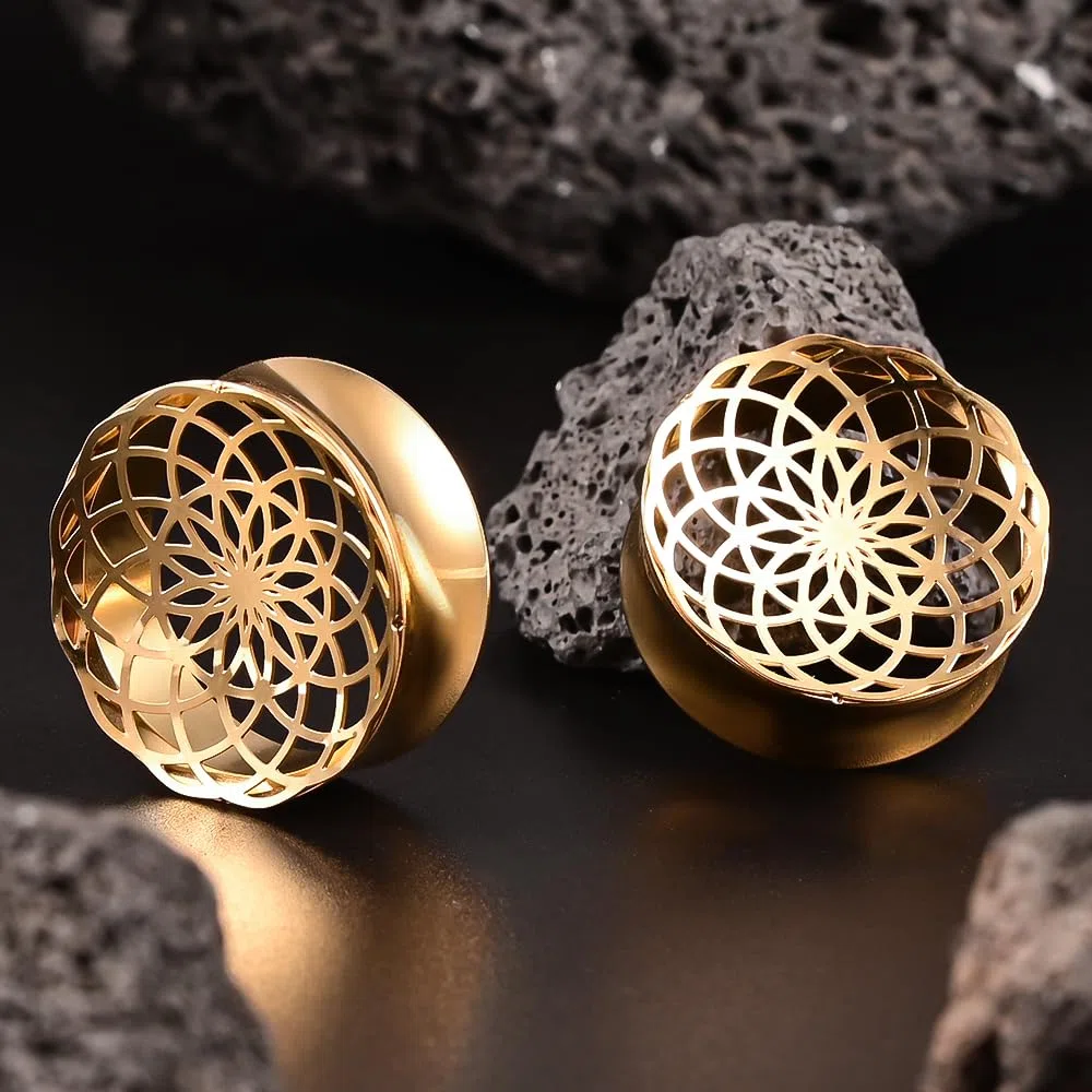 Vankula Ohr Flesh Tunnel Double Flared Plug Hohl Edelstahl für Gestreckte Expander Ohrpiercing 8mm bis 19mm