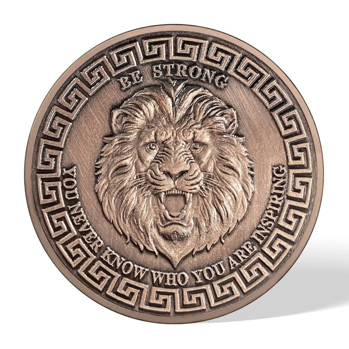 AtSKnSK Motivierende Münze Ermutigung Münze Löwe des Mutes christliche Challenge Coin Viel Glück Gedenkgeschenke für Damen und Männer Incentive Auszeichnungen