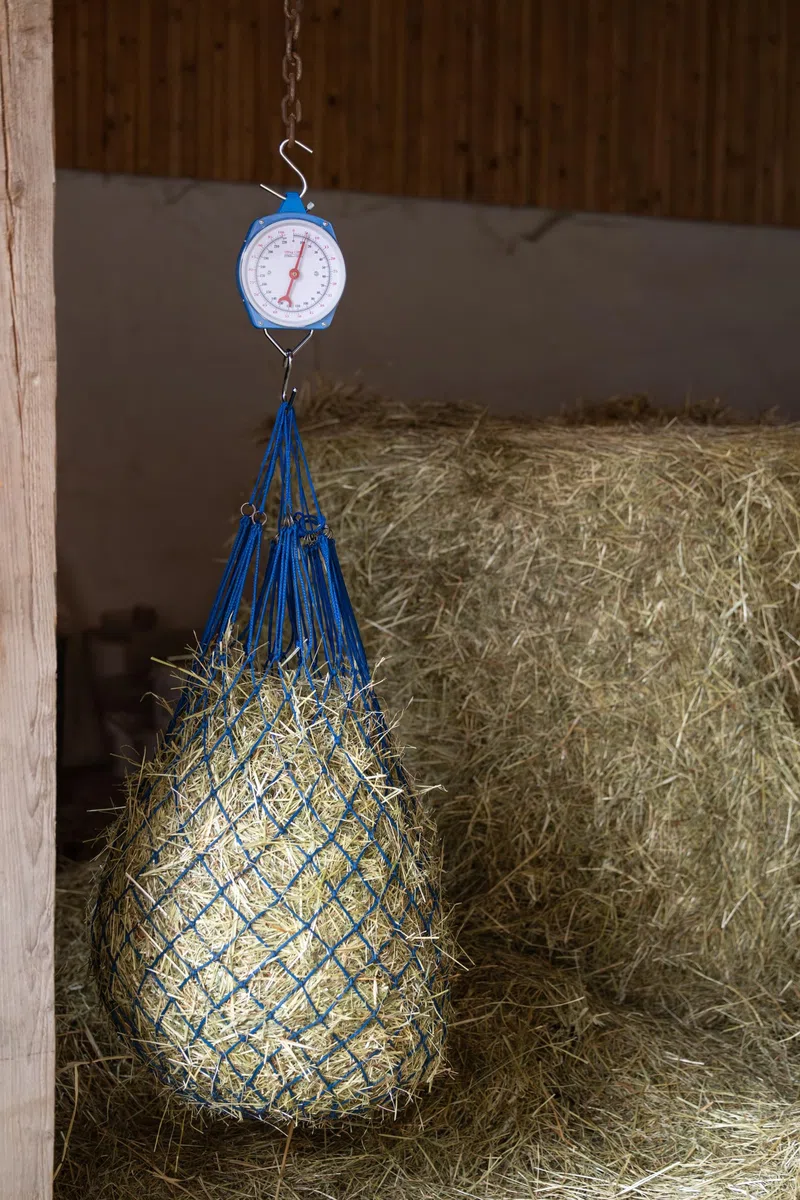 Zeigerschnellwaage 10kg Farbe blau