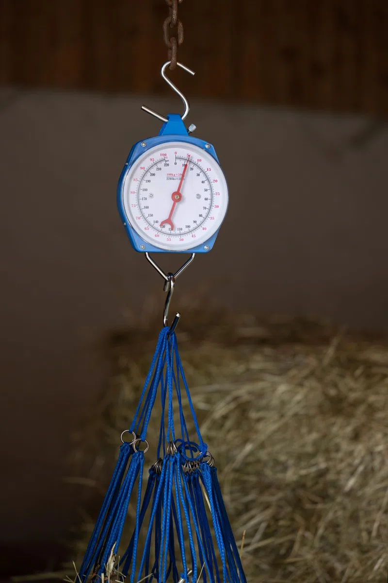 Zeigerschnellwaage 10kg Farbe blau