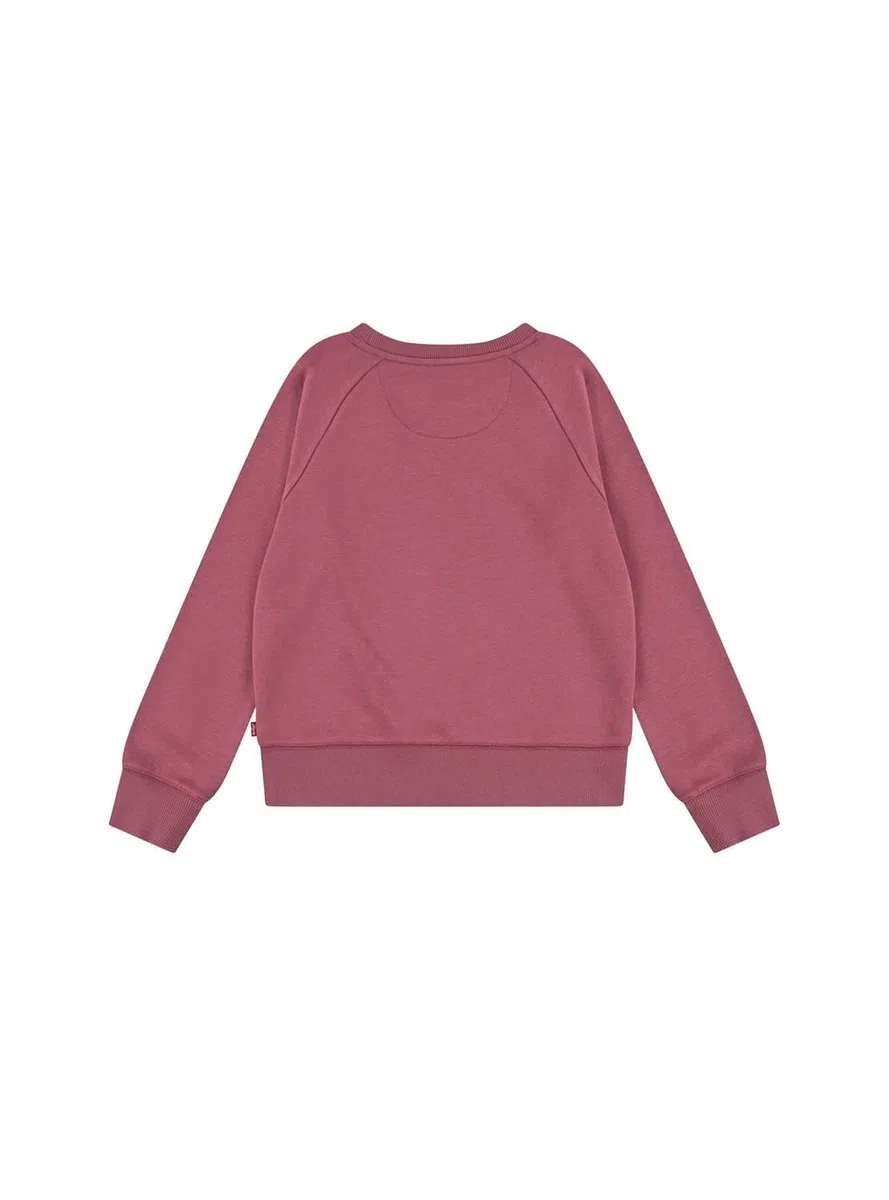 Levi's Baby - Mädchen Lvg Ket Item Logo Crew 1e6660 Sweatshirt (1er Pack)